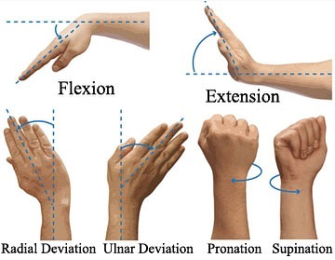 Wrist Angles Part 1 & 2 The Kennedy Academy